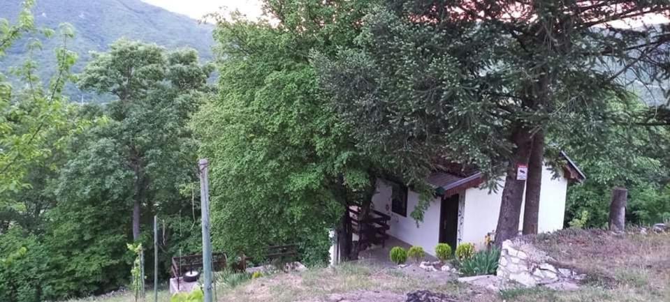 Vila Eva Meduvrsje Zewnętrze zdjęcie