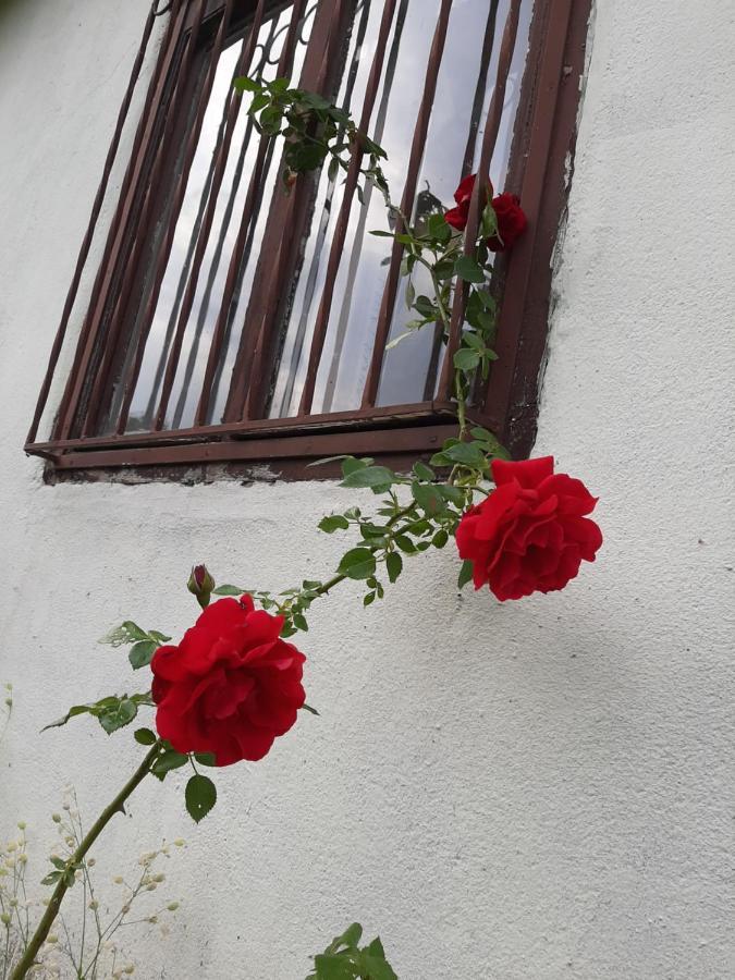 Vila Eva Meduvrsje Zewnętrze zdjęcie