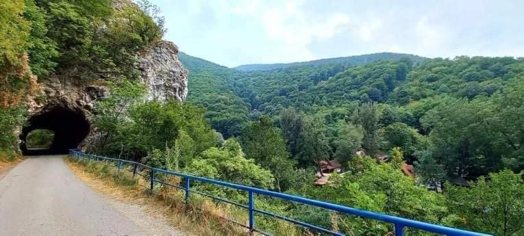 Vila Eva Meduvrsje Zewnętrze zdjęcie