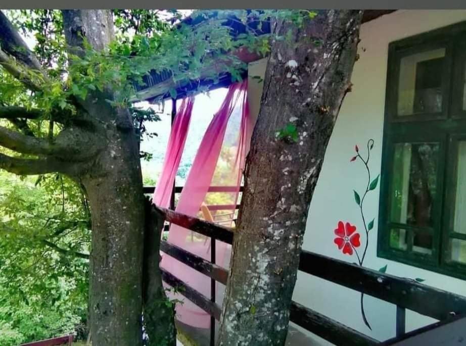 Vila Eva Meduvrsje Zewnętrze zdjęcie